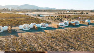 Bubble Camping Dome - view 17