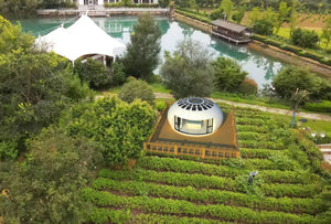 Avant-Garde Dome - view 7