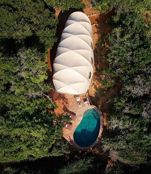 Cicada Chrysalis Dome - view 2