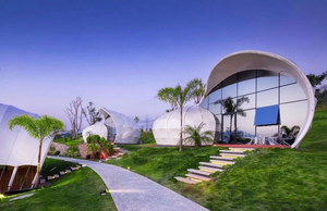 Modern S-Shaped Luxury Dome - SDS Series - view 6